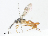  ( - CBG-A08746-D12)  @11 [ ] CreativeCommons - Attribution Share - Alike (2023) CBG Photography Group Centre for Biodiversity Genomics