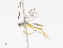  (crypMalaise01 Malaise0821 - CBG-A13201-G03)  @11 [ ] CreativeCommons - Attribution Share - Alike (2023) CBG Photography Group Centre for Biodiversity Genomics