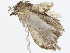  ( - CBG-A04528-B01)  @11 [ ] CreativeCommons - Attribution Share - Alike (2023) CBG Photography Group Centre for Biodiversity Genomics