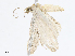  ( - CBG-A04528-B03)  @11 [ ] CreativeCommons - Attribution Share - Alike (2023) CBG Photography Group Centre for Biodiversity Genomics