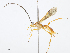  ( - CBG-A04528-C09)  @11 [ ] CreativeCommons - Attribution Share - Alike (2023) CBG Photography Group Centre for Biodiversity Genomics