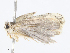  ( - CBG-A04528-D07)  @11 [ ] CreativeCommons - Attribution Share - Alike (2023) CBG Photography Group Centre for Biodiversity Genomics