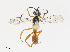  ( - CBG-A13220-D04)  @11 [ ] CreativeCommons - Attribution Share - Alike (2023) CBG Photography Group Centre for Biodiversity Genomics