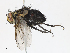  ( - CBG-A13221-C05)  @11 [ ] CreativeCommons - Attribution Share - Alike (2023) CBG Photography Group Centre for Biodiversity Genomics