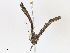  ( - CBG-A13221-E07)  @11 [ ] CreativeCommons - Attribution Share - Alike (2023) CBG Photography Group Centre for Biodiversity Genomics