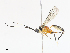  ( - CBG-A13221-G01)  @11 [ ] CreativeCommons - Attribution Share - Alike (2023) CBG Photography Group Centre for Biodiversity Genomics