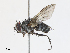  ( - CBG-A13222-A02)  @11 [ ] CreativeCommons - Attribution Share - Alike (2023) CBG Photography Group Centre for Biodiversity Genomics