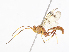  ( - CBG-A13223-H02)  @11 [ ] CreativeCommons - Attribution Share - Alike (2023) CBG Photography Group Centre for Biodiversity Genomics