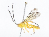  ( - CBG-A13223-H05)  @11 [ ] CreativeCommons - Attribution Share - Alike (2023) CBG Photography Group Centre for Biodiversity Genomics