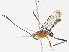  ( - CBG-A13224-D09)  @11 [ ] CreativeCommons - Attribution Share - Alike (2023) CBG Photography Group Centre for Biodiversity Genomics