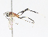  ( - CBG-A13321-A09)  @11 [ ] CreativeCommons - Attribution Share - Alike (2023) CBG Photography Group Centre for Biodiversity Genomics