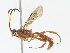  ( - CBG-A13321-A10)  @11 [ ] CreativeCommons - Attribution Share - Alike (2023) CBG Photography Group Centre for Biodiversity Genomics