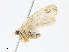  ( - CBG-A13322-B08)  @11 [ ] CreativeCommons - Attribution Share - Alike (2023) CBG Photography Group Centre for Biodiversity Genomics