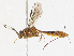  ( - CBG-A13323-B03)  @11 [ ] CreativeCommons - Attribution Share - Alike (2023) CBG Photography Group Centre for Biodiversity Genomics