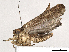  ( - CBG-A13323-F08)  @11 [ ] CreativeCommons - Attribution Share - Alike (2023) CBG Photography Group Centre for Biodiversity Genomics