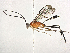  ( - CBG-A13324-D01)  @11 [ ] CreativeCommons - Attribution (2023) CBG Photography Group Centre for Biodiversity Genomics