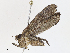  ( - CBG-A14965-D04)  @11 [ ] CreativeCommons - Attribution Share - Alike (2023) CBG Photography Group Centre for Biodiversity Genomics