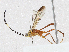  ( - CBG-A04569-A11)  @11 [ ] CreativeCommons - Attribution (2023) CBG Photography Group Centre for Biodiversity Genomics
