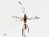  ( - CBG-A04569-C08)  @11 [ ] CreativeCommons - Attribution (2023) CBG Photography Group Centre for Biodiversity Genomics