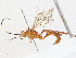  ( - CBG-A04569-D04)  @11 [ ] CreativeCommons - Attribution (2023) CBG Photography Group Centre for Biodiversity Genomics