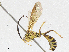  ( - CBG-A04569-D09)  @11 [ ] CreativeCommons - Attribution (2023) CBG Photography Group Centre for Biodiversity Genomics