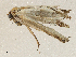  ( - CBG-A04584-F02)  @11 [ ] CreativeCommons - Attribution (2023) CBG Photography Group Centre for Biodiversity Genomics