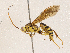  ( - CBG-A04585-A06)  @11 [ ] CreativeCommons - Attribution (2023) CBG Photography Group Centre for Biodiversity Genomics