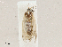  ( - CBG-A05366-F09)  @11 [ ] CreativeCommons - Attribution (2023) CBG Photography Group Centre for Biodiversity Genomics