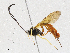 ( - CBG-A05406-A08)  @11 [ ] CreativeCommons - Attribution (2023) CBG Photography Group Centre for Biodiversity Genomics