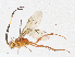  ( - CBG-A05406-C11)  @11 [ ] CreativeCommons - Attribution (2023) CBG Photography Group Centre for Biodiversity Genomics