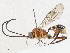  ( - CBG-A05406-D03)  @11 [ ] CreativeCommons - Attribution (2023) CBG Photography Group Centre for Biodiversity Genomics
