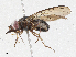  ( - CBG-A05407-C05)  @11 [ ] CreativeCommons - Attribution (2023) CBG Photography Group Centre for Biodiversity Genomics