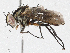  ( - CBG-A05407-C08)  @11 [ ] CreativeCommons - Attribution (2023) CBG Photography Group Centre for Biodiversity Genomics