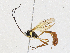  ( - CBG-A05410-A03)  @11 [ ] CreativeCommons - Attribution (2023) CBG Photography Group Centre for Biodiversity Genomics