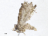  ( - CBG-A05438-D10)  @11 [ ] CreativeCommons - Attribution (2023) CBG Photography Group Centre for Biodiversity Genomics