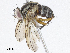 ( - CBG-A05438-E04)  @11 [ ] CreativeCommons - Attribution (2023) CBG Photography Group Centre for Biodiversity Genomics