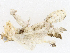  ( - CBG-A05439-E02)  @11 [ ] CreativeCommons - Attribution (2023) CBG Photography Group Centre for Biodiversity Genomics