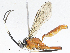  ( - CBG-A05439-G01)  @11 [ ] CreativeCommons - Attribution (2023) CBG Photography Group Centre for Biodiversity Genomics