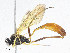  ( - CBG-A05439-G02)  @11 [ ] CreativeCommons - Attribution (2023) CBG Photography Group Centre for Biodiversity Genomics