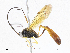 ( - CBG-A05440-A05)  @11 [ ] CreativeCommons - Attribution (2023) CBG Photography Group Centre for Biodiversity Genomics