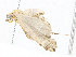  ( - CBG-A05440-B07)  @11 [ ] CreativeCommons - Attribution (2023) CBG Photography Group Centre for Biodiversity Genomics