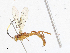  ( - CBG-A06214-B02)  @11 [ ] CreativeCommons - Attribution (2023) CBG Photography Group Centre for Biodiversity Genomics