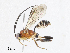  ( - CBG-A06214-E03)  @11 [ ] CreativeCommons - Attribution (2023) CBG Photography Group Centre for Biodiversity Genomics