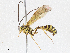  ( - CBG-A06215-C08)  @11 [ ] CreativeCommons - Attribution (2023) CBG Photography Group Centre for Biodiversity Genomics