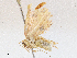  ( - CBG-A06215-G02)  @11 [ ] CreativeCommons - Attribution (2023) CBG Photography Group Centre for Biodiversity Genomics
