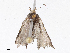  ( - CBG-A06215-H07)  @11 [ ] CreativeCommons - Attribution (2023) CBG Photography Group Centre for Biodiversity Genomics