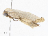  ( - CBG-A06217-B03)  @11 [ ] CreativeCommons - Attribution (2023) CBG Photography Group Centre for Biodiversity Genomics