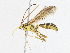  ( - CBG-A06218-E01)  @11 [ ] CreativeCommons - Attribution (2023) CBG Photography Group Centre for Biodiversity Genomics