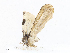  ( - CBG-A06262-A03)  @11 [ ] CreativeCommons - Attribution Share - Alike (2023) CBG Photography Group Centre for Biodiversity Genomics
