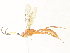 ( - CBG-A31840-E06)  @11 [ ] CreativeCommons - Attribution Share - Alike (2024) CBG Photography Group Centre for Biodiversity Genomics